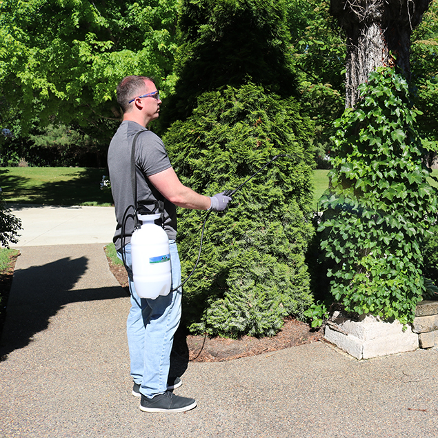 Plunger Pump Sprayer, 6L (2.1-Gallon)